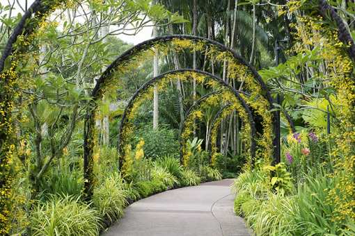 7 Beautiful Botanical Gardens in Louisiana!