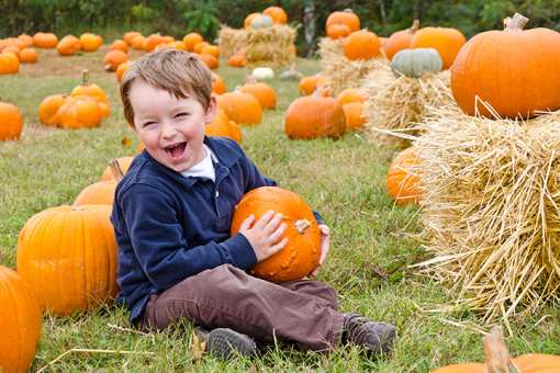 The 6 Best Pumpkin Patches in Louisiana!
